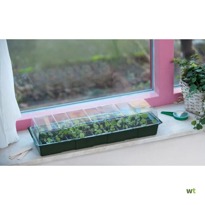 1778711338202050_nature_zaaien_en_planten_vensterbankbroeikasj_10_c978