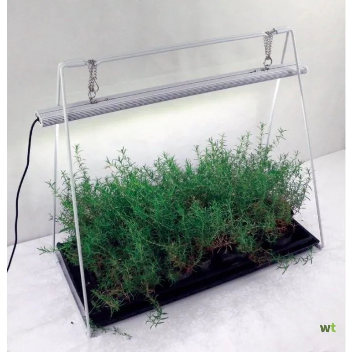 1778719189208344_btt_kweeklamp_parus_lucis_kweeklamp_20w_65_cm_btt_fac7