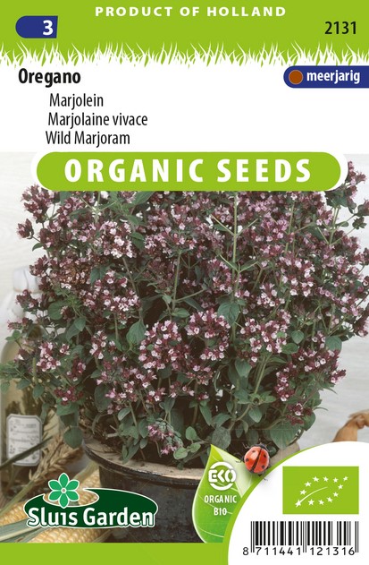 oregano-origanum-vulgaris-eko Oregano is een mediterrane kruid dat uitstekend binnen kan groeien.