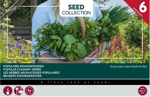 6-kruiden-voor-in-potten-buzzy-collection kruiden voor in potten