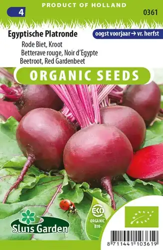 rode-bieten-egyptische-platronde De 10 makkelijkste groenten om thuis te kweken