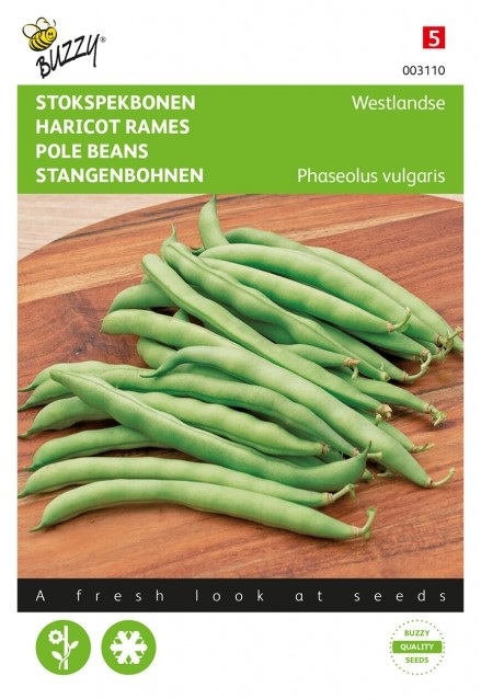 stokslabonen-westlandse-dubbele-zonder-draad-buzzy De 10 makkelijkste groenten om thuis te kweken