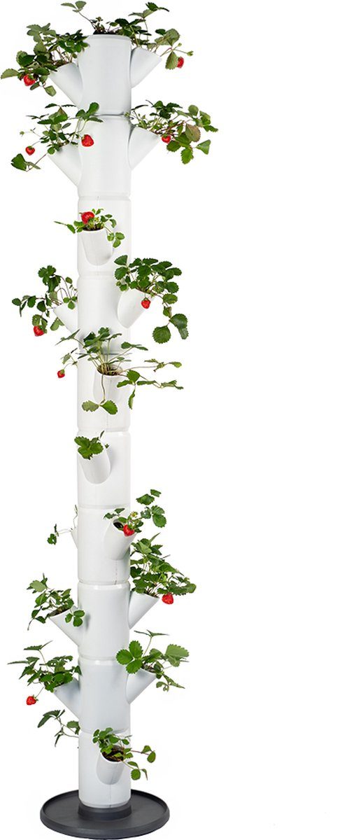 Verticale aardbeientoren Verticale aardbeientoren