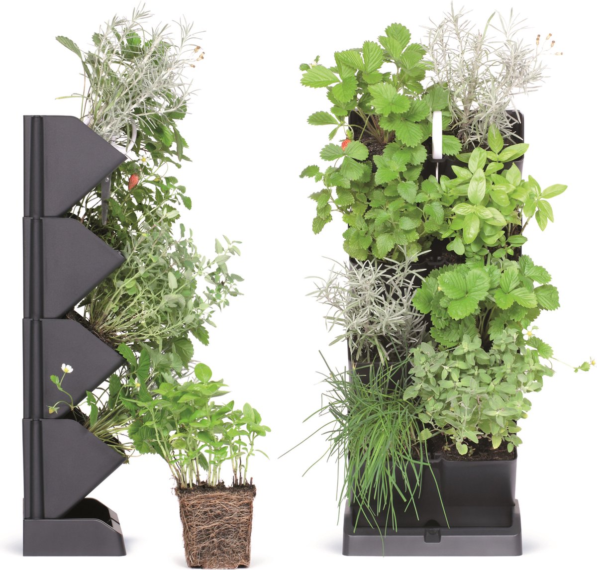 verticale kruidentuin Verticale kruidentuin