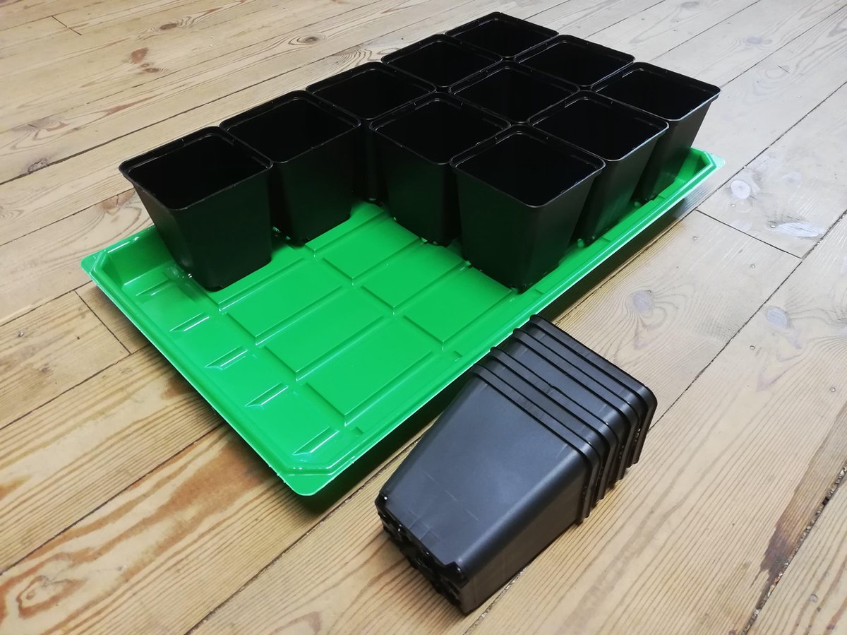 Zaailingen verspenen Cherry tomaat verticaal tuinieren in je tuinkas