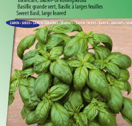 De 10 makkelijkste kruiden om binnenhuis te kweken