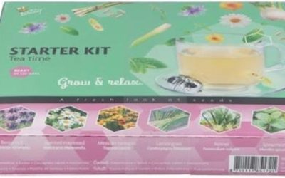 Thee kruiden zaaien, met deze top 5 gaat het niet mis!