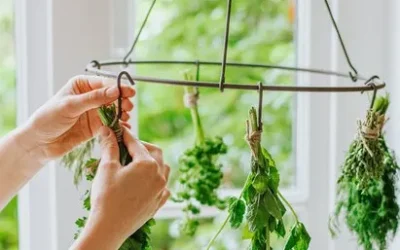 Afharden: Essentiele stap voor je moestuin