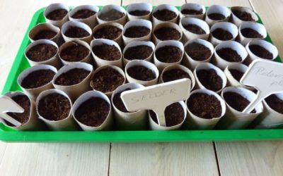 Voorzaaien doe je zo!