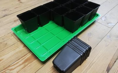 Zaailingen verspenen: Zo doe je dat!